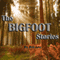 Sasquatch and UFOs (The Bigfoot Stories) (Unabridged)