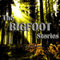 A Camper's Shell Game: The Bigfoot Stories (Unabridged) audio book by Bill Lee