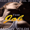 The Job: Sexy Secrets, Vol. 3 (Unabridged) audio book by Mindy Wilde