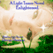 Enlightened, Volume 2: Book Two of The Light Tamer Trilogy (Unabridged) audio book by Devyn Dawson
