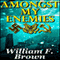 Amongst My Enemies: A Cold-War Thriller (Unabridged) audio book by William F. Brown