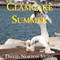 Clamcake Summer: One Man Eats Every Clamcake in Rhode Island (Or Dies Frying) (Unabridged) audio book by David Norton Stone