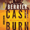 Cash Burn (Unabridged) audio book by Michael Berrier