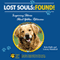 Lost Souls: Found! Inspiring Stories About Golden Retrievers (Unabridged) audio book by Kyla Duffy, Lowrey Mumford