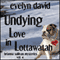 Undying Love in Lottawatah: Brianna Sullivan Mysteries (Unabridged) audio book by Evelyn David