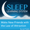 Make New Friends with the Law of Attraction with Hypnosis, Meditation, and Affirmations: The Sleep Learning System audio book by Joel Thielke