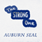 The Strong One (Unabridged) audio book by Auburn Seal