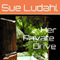 Her Private Drive (Unabridged) audio book by Sue Ludahl