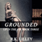 Grounded: Up in the Air, Volume 3 (Unabridged) audio book by R. K. Lilley
