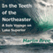 In the Teeth of the Northeaster: A Solo Voyage on Lake Superior (Unabridged) audio book by Marlin Bree