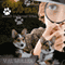 Corgi Capers: Deceit On Dorset Drive (Unabridged) audio book by Val Muller