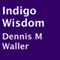 Indigo Wisdom (Unabridged)