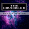 The Crucible II (Unabridged) audio book by Robert Stetson