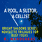 A Pool, A Suitor, A Cellist: Bright Shadows Series: Novelette Trilogies for Busy Folks (Unabridged) audio book by R. Manolakas
