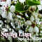 Saving Liam (Unabridged) audio book by Sasha L. Miller