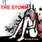 The Storm: A Family's Battle with Mental Illness (Unabridged) audio book by Michael R. Lewis