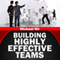 Building Highly Effective Teams: How to Transform Virtual Teams to Cohesive Professional Networks - A Practical Guide (Unabridged) audio book by Michael A. Nir