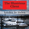 The Illustrious Client (Unabridged) audio book by Sandra de Helen