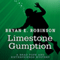 Limestone Gumption: A Brad Pope and Sisterfriends Mystery (Unabridged) audio book by Bryan E. Robinson