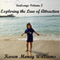 Soulsongs, Volume 2: Exploring the Law of Attraction (Unabridged) audio book by Karen Money Williams