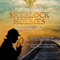 Sherlock Holmes: A Strange Affair with the Woman on the Tracks: A Short Mystery, Book 4 (Unabridged) audio book by Pennie Mae Cartawick