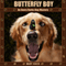 Butterfly Boy: An Avery Barks Dog Mystery: Avery Barks Dog Mysteries, Book 1 (Unabridged) audio book by Mary Hiker