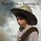 Birth of a Sidekick (Unabridged) audio book by Rish Outfield
