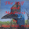 The Self and Madness (Unabridged) audio book by Alan Hall, PhD