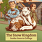Sasha Goes to College: The Snow Kingdom, Book 2 (Unabridged) audio book by D. L. Fox