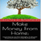 Make Money from Home: Learn How to Use Your Strengths to Discover Financial Freedom, a Step-by-Step Guide (Unabridged)