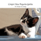 Yo Compre Una Pequea Gatita [I Buy a Small Kitten] (Unabridged) audio book by Evelyn Sondag