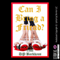 Can I Bring A Friend?: Naughty Christmas Daydreams (Unabridged) audio book by DP Backhaus