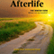 Afterlife: The Jewish View (Unabridged)