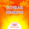 SunRae Healing (Unabridged) audio book by Rae Dornan