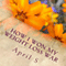 How I Won My Weight Loss War (Unabridged) audio book by April S.
