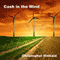 Cash in the Wind: How to Build a Wind Farm Using Skystream and 442SR Wind Turbines for Home Power Energy Net-Metering and Sell Electricity Back to the Grid (Unabridged) audio book by Christopher Kinkaid