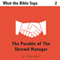 The Parable of the Shrewd Manager: What The Bible Says, Book 2 (Unabridged) audio book by Phin Hall
