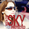 When the Sky Was Protected: Grace Bryant, Federal Air Marshal, Book 1 (Unabridged)