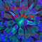 Tentacles on a Plane (Alien Sex Erotica) (Unabridged) audio book by Suzanne Crawford