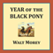 Year of the Black Pony (Living History Library) (Unabridged)