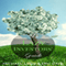 The Lazy Investors' Guide: Save Money. Retire Early. The Lazy Way. (Unabridged) audio book by Michael Lund, Eric Dahl