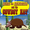 Arnie the Armadillo and the Cowboy Hat (Unabridged) audio book by Majestic Kids