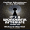 It's A Wonderful Afterlife Volume One: Further Adventures in the Flipside (Unabridged)