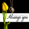 Always You (Unabridged) audio book by Kirsty Moseley