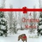 A Christmas Miracle (Unabridged) audio book by Sandy Loyd