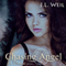 Chasing Angel: Divisa, Book 3 (Unabridged) audio book by J.L. Weil
