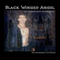 Black Winged Angel: The Guardian Heart Crystal Series, Book 7 (Unabridged) audio book by Amy Blankenship, R.K. Melton