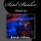 Soul Stealer: Shadows, Book 1 (Unabridged) audio book by Brenda Cothern