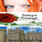 Bailey's Revenge: Irish Twist of Fate, Book 1 (Unabridged) audio book by Allison Bruning