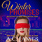 Winter Promises: Ever After Series, Book 1.5 (Unabridged) audio book by A.. C. James